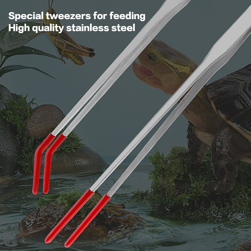 Expert Aquarium Tools: Stainle - Feeding Tong Stainless ulasan dan harga