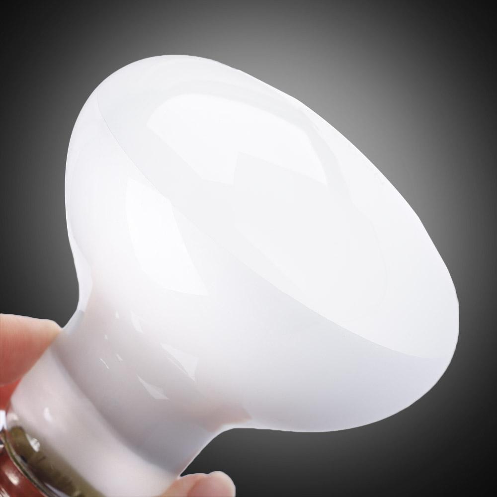 Turtle Heater Temperature Cont - Basking Bulb Halogen ulasan dan harga
